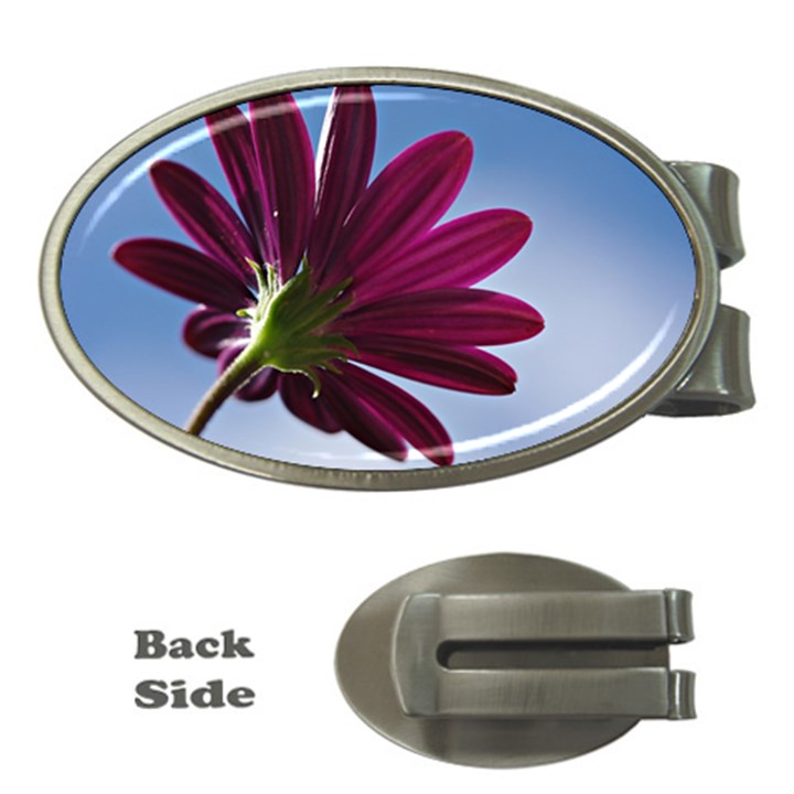 Daisy Money Clip (Oval)