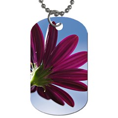 Daisy Dog Tag (two-sided)  by Siebenhuehner