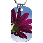 Daisy Dog Tag (Two-sided)  Front