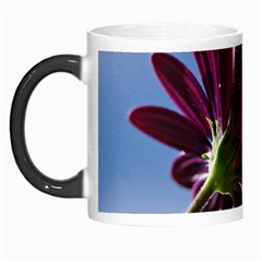 Daisy Morph Mug by Siebenhuehner