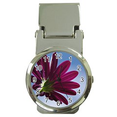 Daisy Money Clip With Watch by Siebenhuehner