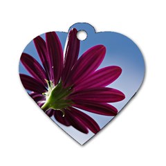 Daisy Dog Tag Heart (one Sided) 