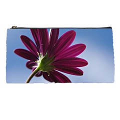 Daisy Pencil Case