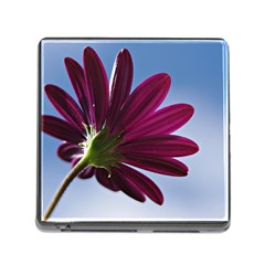 Daisy Memory Card Reader With Storage (square)