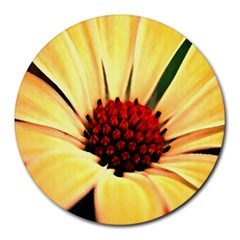 Osterspermum 8  Mouse Pad (round) by Siebenhuehner