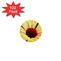 Osterspermum 1  Mini Button (100 Pack) by Siebenhuehner