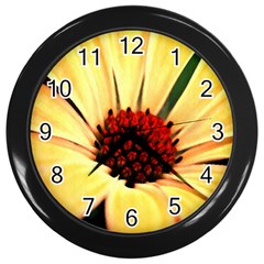 Osterspermum Wall Clock (black) by Siebenhuehner