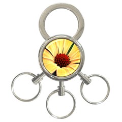 Osterspermum 3-ring Key Chain by Siebenhuehner