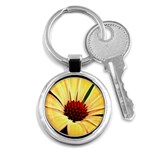 Osterspermum Key Chain (Round) Front