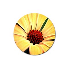 Osterspermum Magnet 3  (round) by Siebenhuehner