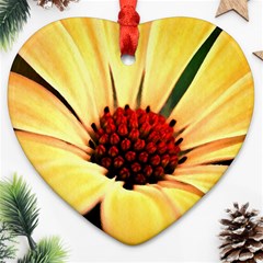 Osterspermum Heart Ornament (two Sides) by Siebenhuehner