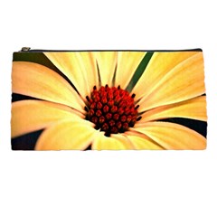 Osterspermum Pencil Case