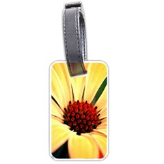 Osterspermum Luggage Tag (one Side) by Siebenhuehner