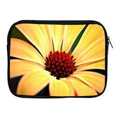 Osterspermum Apple Ipad 2/3/4 Zipper Case by Siebenhuehner