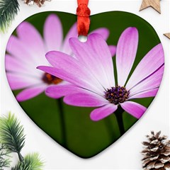 Osterspermum Heart Ornament