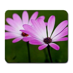 Osterspermum Large Mouse Pad (rectangle) by Siebenhuehner