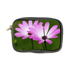 Osterspermum Coin Purse