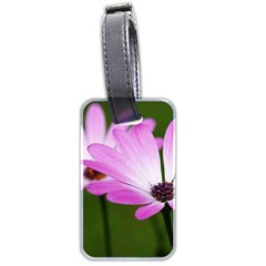 Osterspermum Luggage Tag (two Sides) by Siebenhuehner