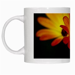 Osterspermum White Coffee Mug by Siebenhuehner