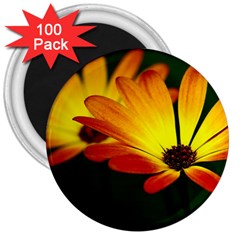 Osterspermum 3  Button Magnet (100 Pack) by Siebenhuehner