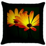 Osterspermum Black Throw Pillow Case Front