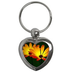 Osterspermum Key Chain (heart) by Siebenhuehner