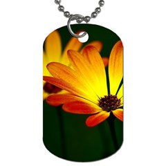 Osterspermum Dog Tag (two-sided)  by Siebenhuehner