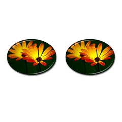 Osterspermum Cufflinks (oval) by Siebenhuehner