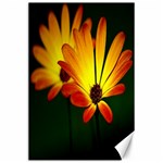 Osterspermum Canvas 24  x 36  (Unframed) 23.35 x34.74  Canvas - 1