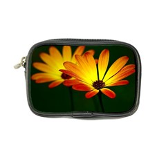 Osterspermum Coin Purse