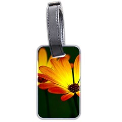 Osterspermum Luggage Tag (two Sides) by Siebenhuehner