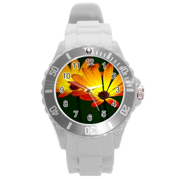 Osterspermum Plastic Sport Watch (Large)