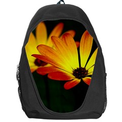 Osterspermum Backpack Bag