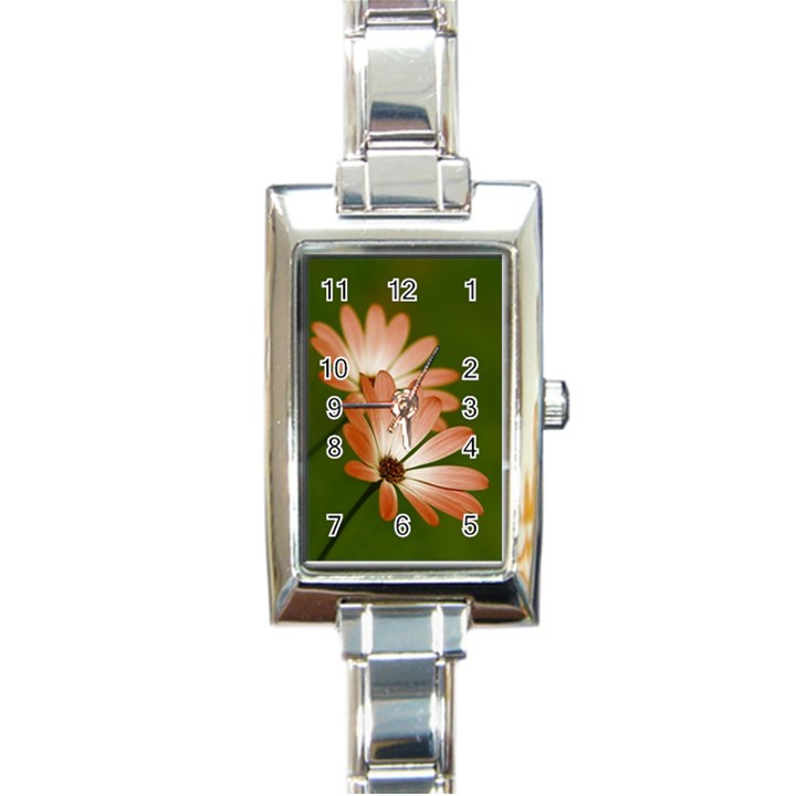 Osterspermum Rectangular Italian Charm Watch