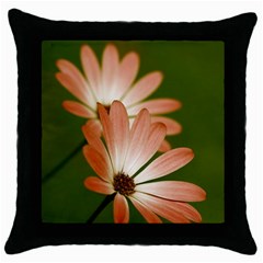 Osterspermum Black Throw Pillow Case