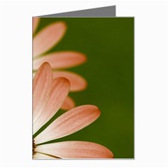 Osterspermum Greeting Card by Siebenhuehner