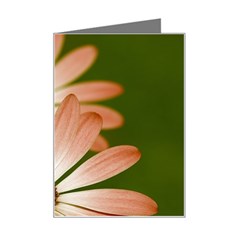 Osterspermum Mini Greeting Card by Siebenhuehner