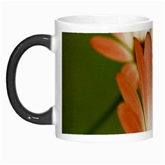 Osterspermum Morph Mug by Siebenhuehner