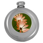 Osterspermum Hip Flask (Round) Front