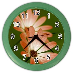 Osterspermum Wall Clock (color) by Siebenhuehner