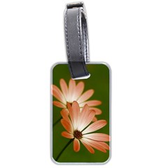 Osterspermum Luggage Tag (two Sides) by Siebenhuehner