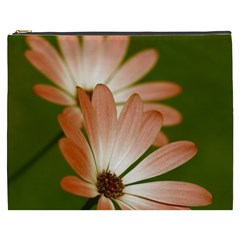 Osterspermum Cosmetic Bag (xxxl) by Siebenhuehner