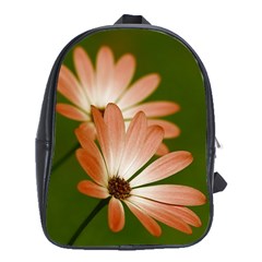 Osterspermum School Bag (xl) by Siebenhuehner