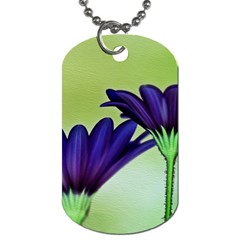 Osterspermum Dog Tag (one Sided)