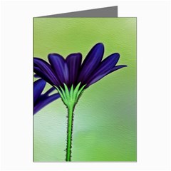 Osterspermum Greeting Card (8 Pack) by Siebenhuehner