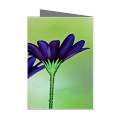 Osterspermum Mini Greeting Card (8 Pack) by Siebenhuehner