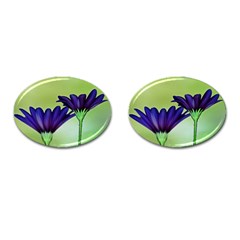 Osterspermum Cufflinks (oval) by Siebenhuehner