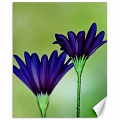 Osterspermum Canvas 16  X 20  (unframed)