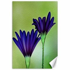 Osterspermum Canvas 24  X 36  (unframed)