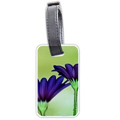 Osterspermum Luggage Tag (one Side) by Siebenhuehner